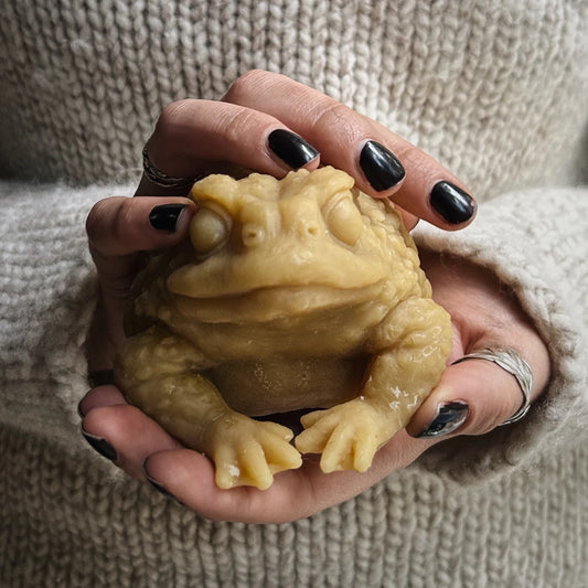 Honey Hole Toad Candles