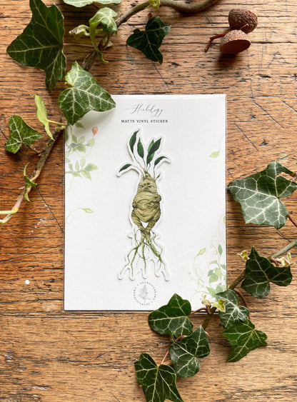 Mandrake Matt Vinyl Sticker | Magical Herbology Stationery