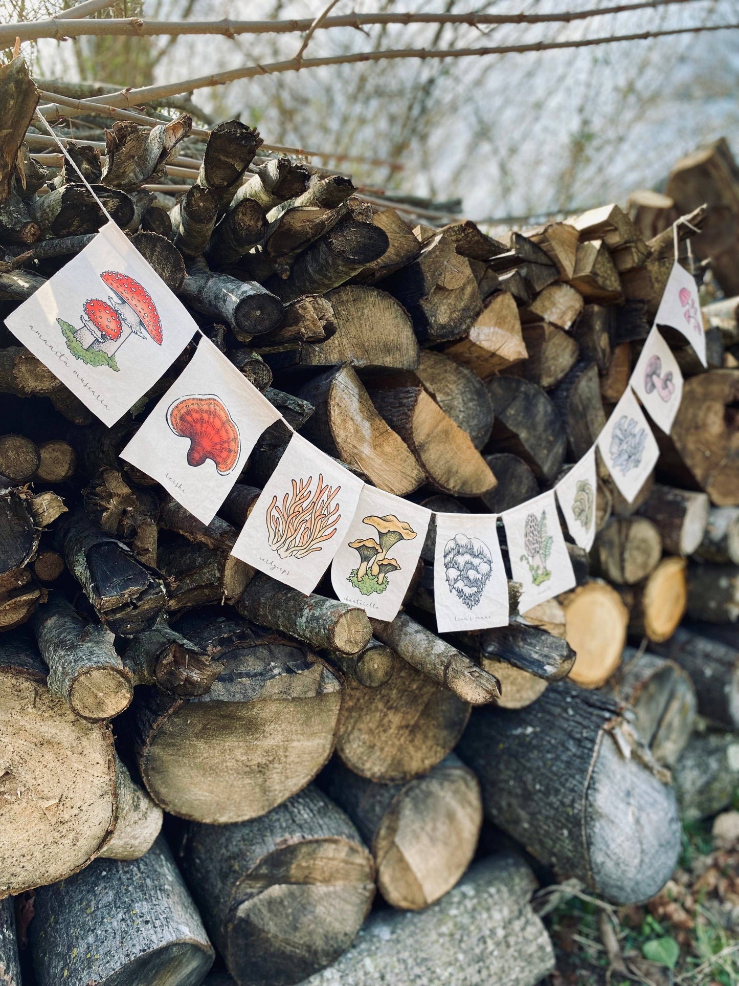 Rainbow Mushrooms Prayer Flags: Tea-dyed