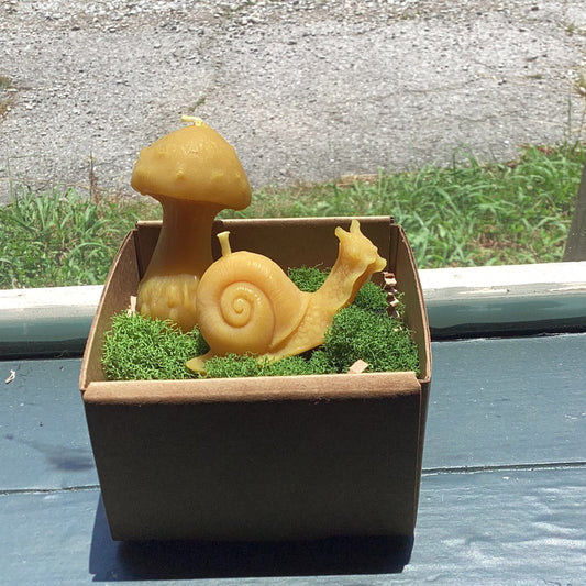 Snail and Shroom Candle Pair