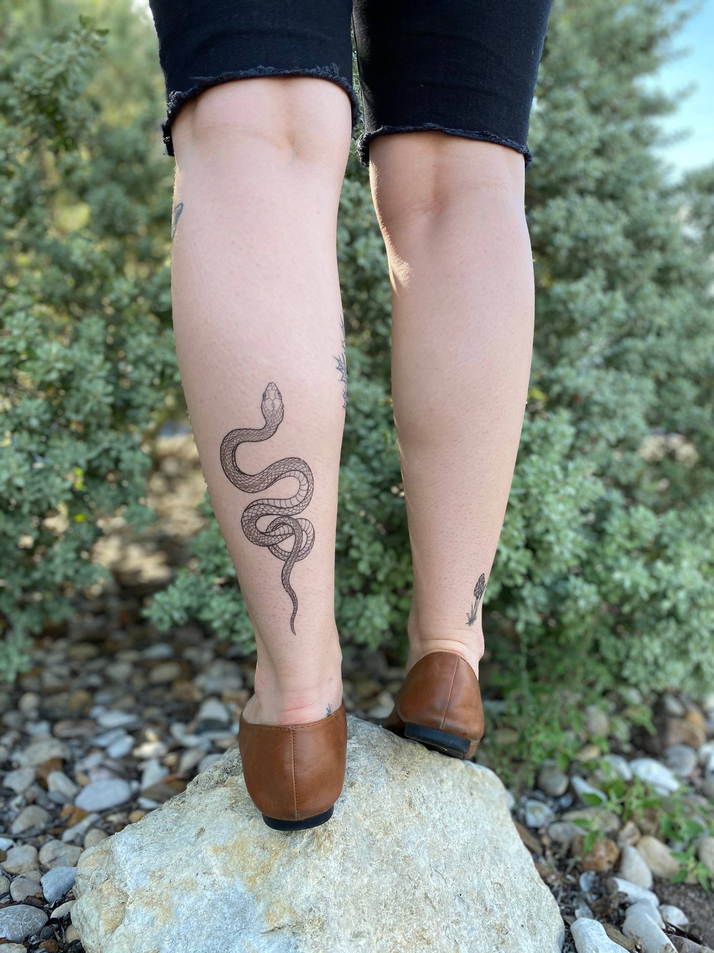 Garden Snake Temporary Tattoo: 1-Pack