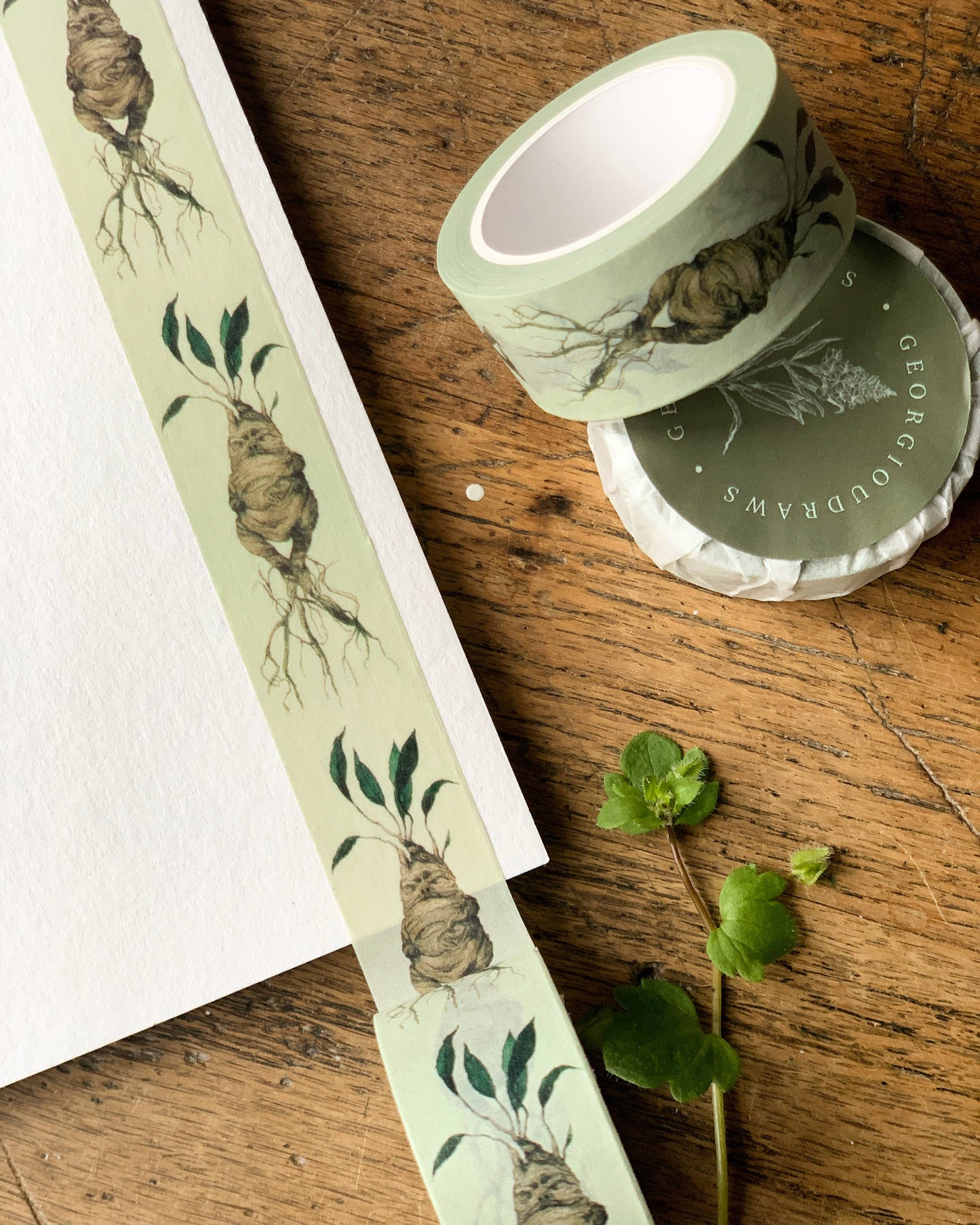 Magical Mandrake Herbology Washi Tape