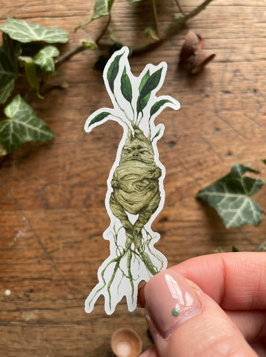 Mandrake Matt Vinyl Sticker | Magical Herbology Stationery
